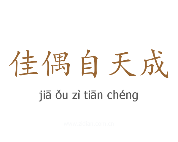 佳偶自天成