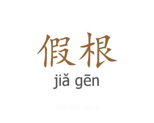 假根
