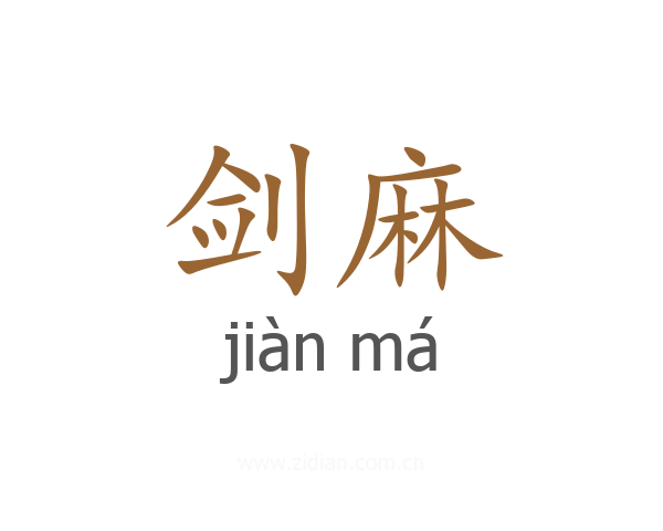 剑麻