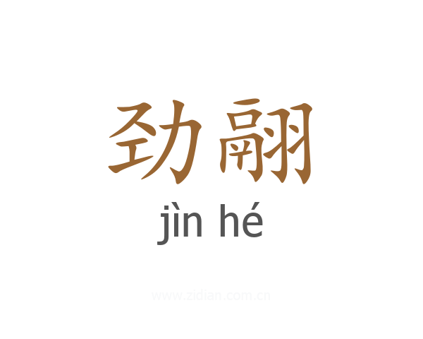 劲翮