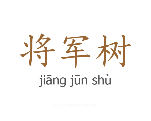 将军树