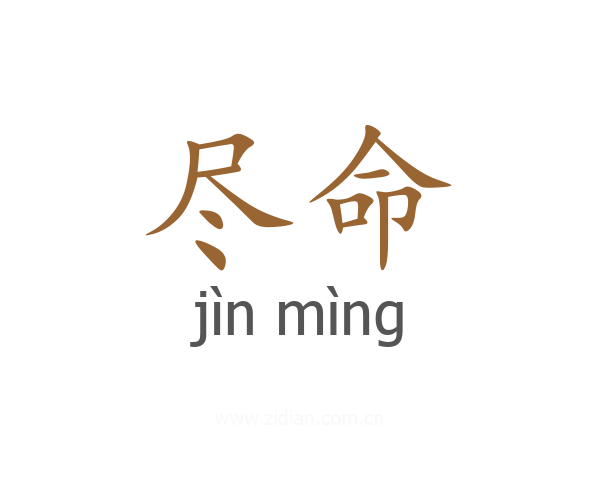 尽命