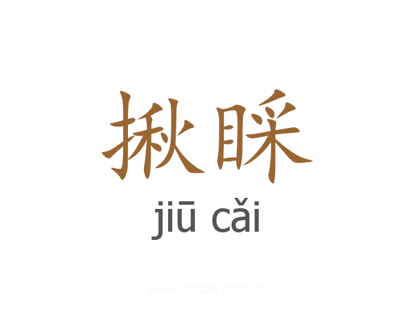 揪睬