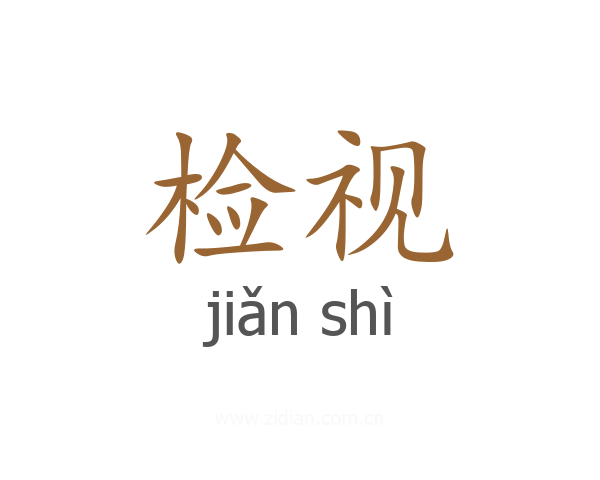 检视