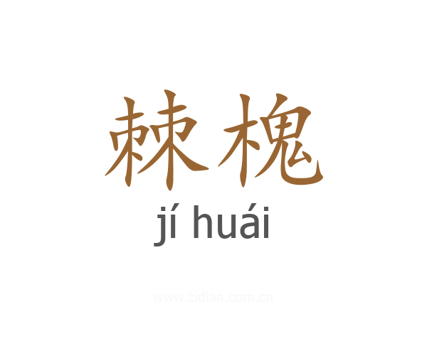 棘槐