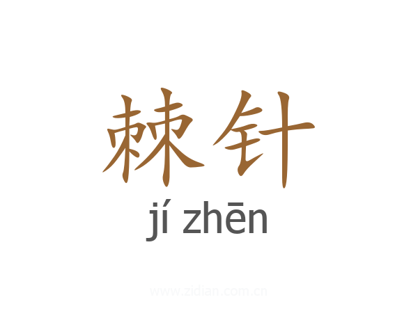 棘针
