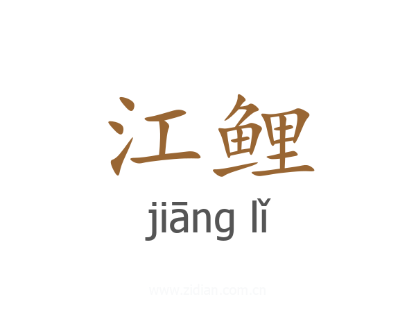 江鲤