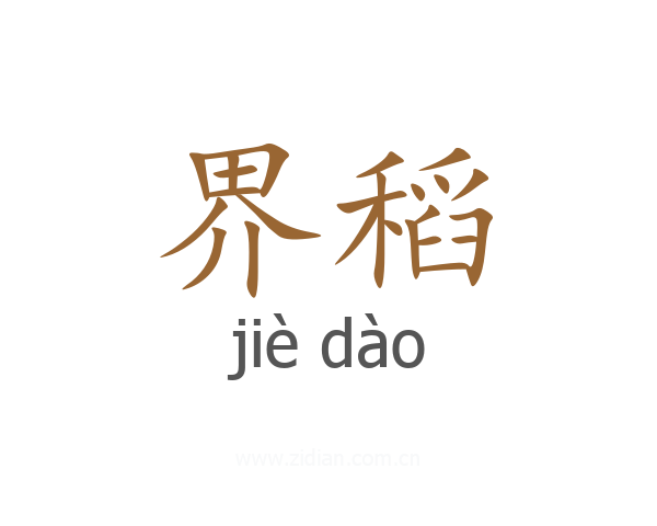 界稻