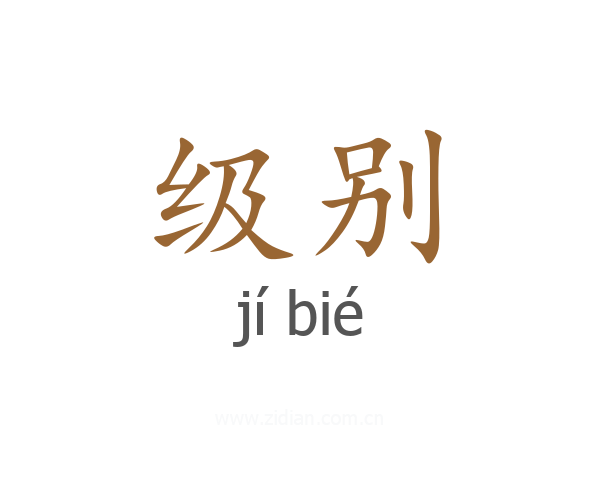 级别
