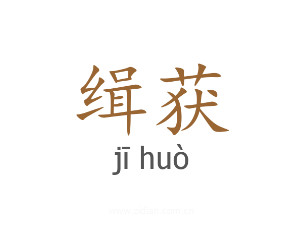 缉获