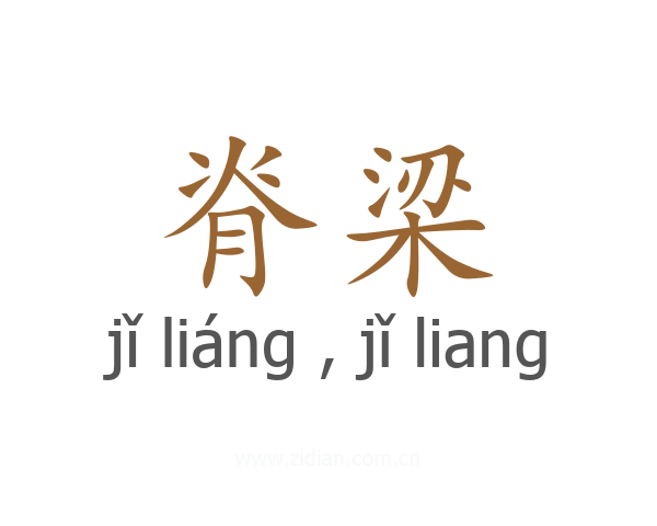 脊梁