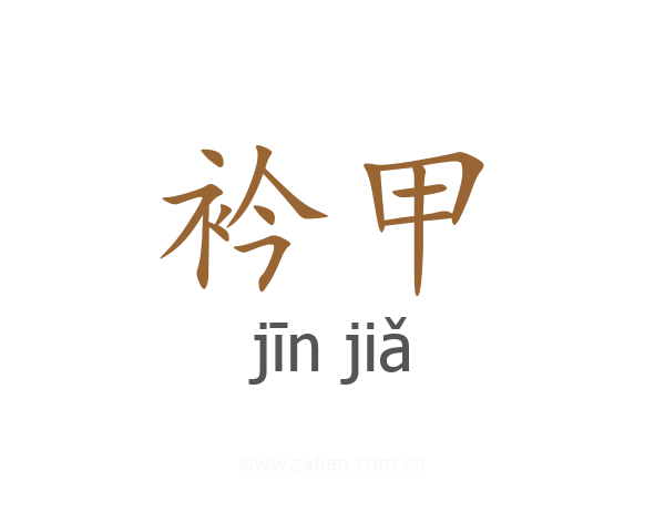 衿甲