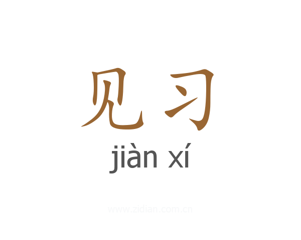 见习