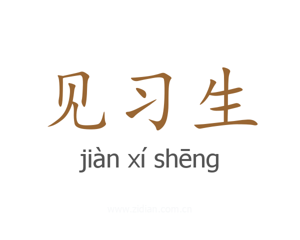 见习生
