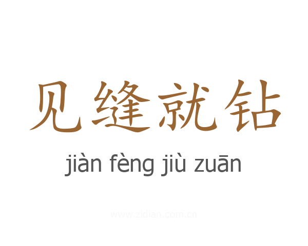 见缝就钻