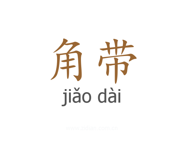 角带