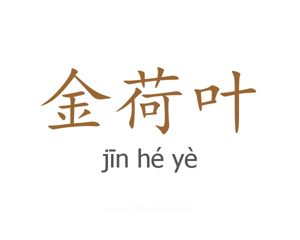 金荷叶
