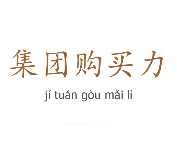 集团购买力