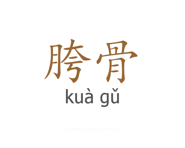 胯骨