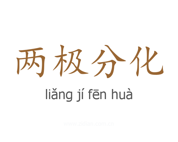 两极分化