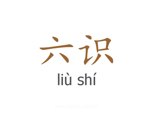 六识
