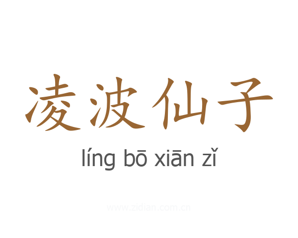 凌波仙子