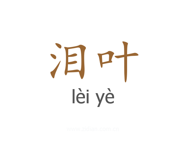 泪叶