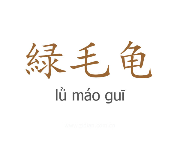 緑毛龟