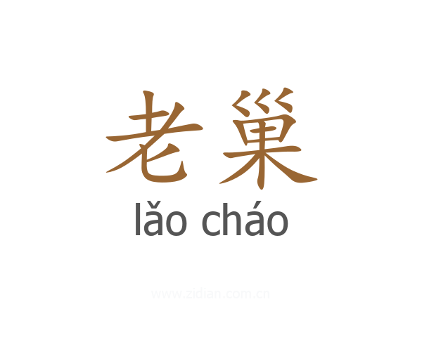 老巢