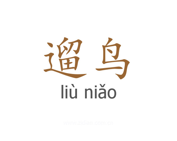 遛鸟