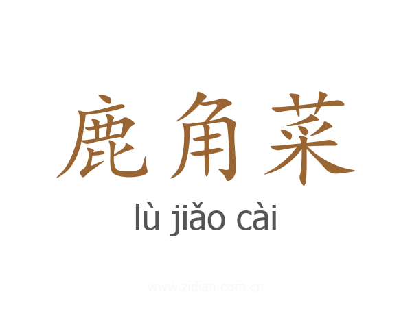 鹿角菜