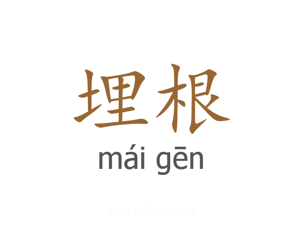 埋根