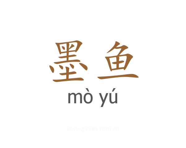 墨鱼