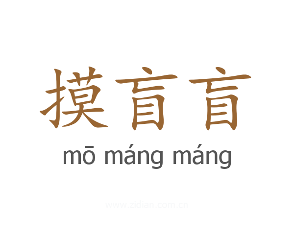 摸盲盲