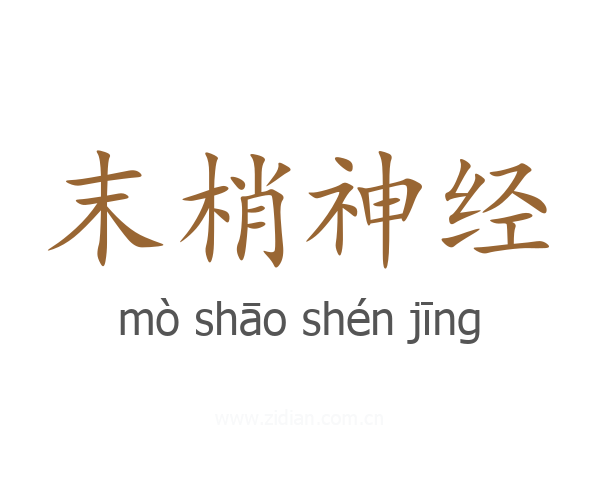 末梢神经