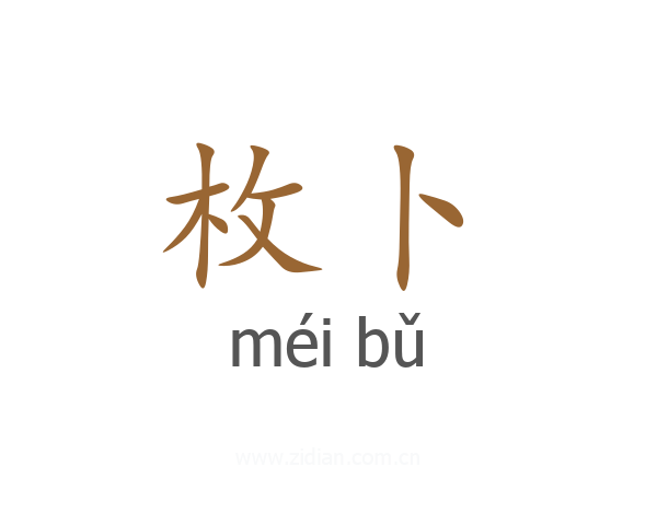 枚卜