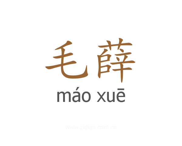 毛薛