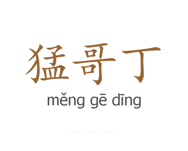 猛哥丁