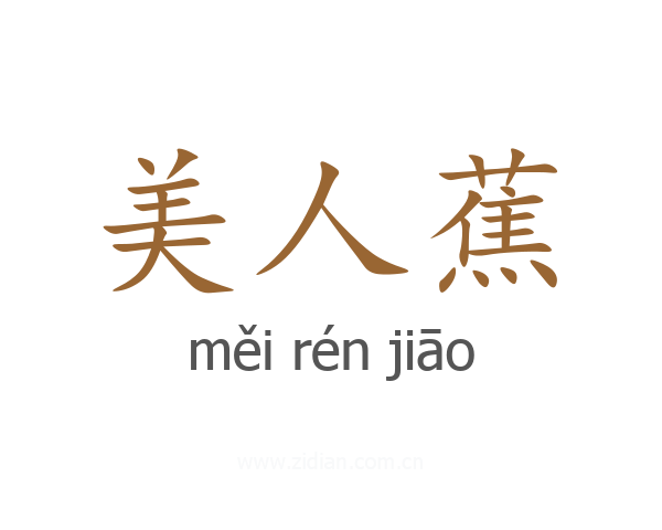 美人蕉