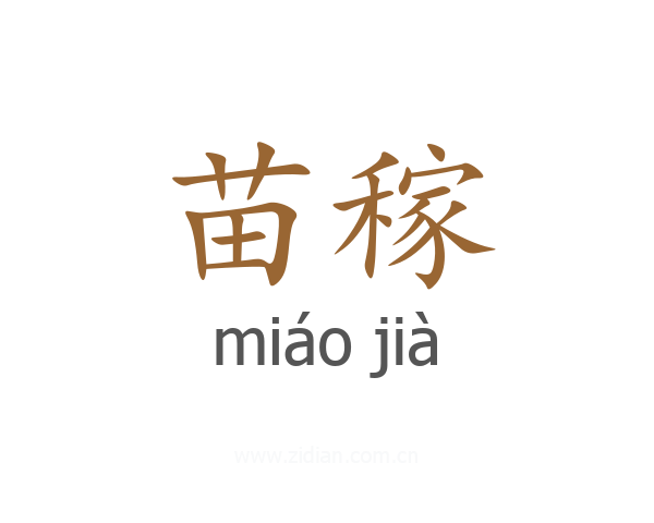 苗稼