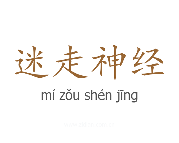 迷走神经