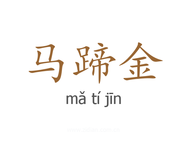 马蹄金