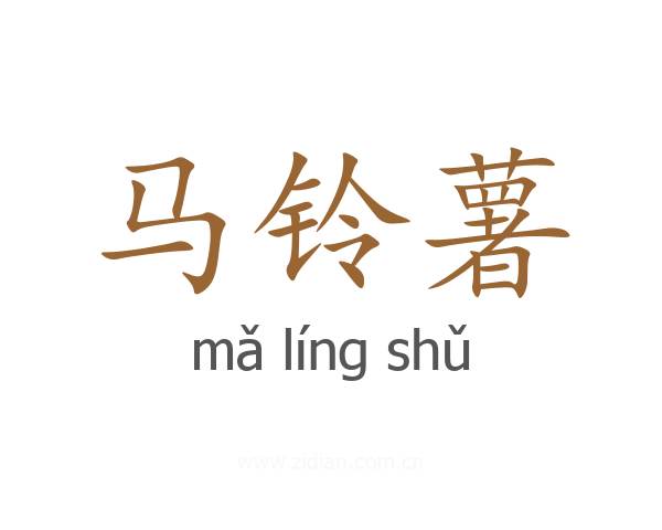 马铃薯