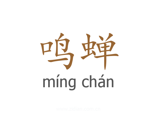 鸣蝉