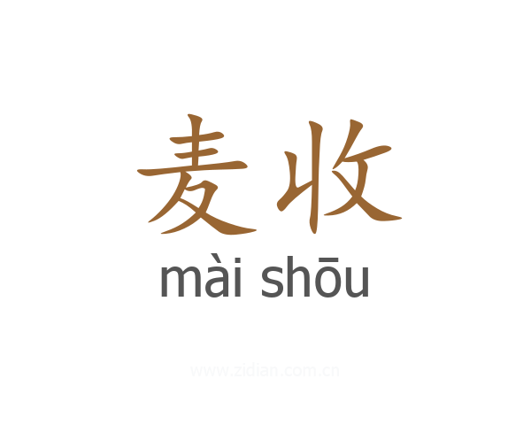 麦收