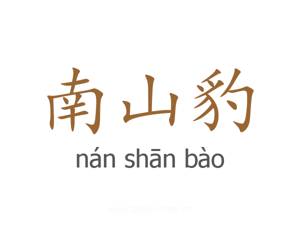 南山豹