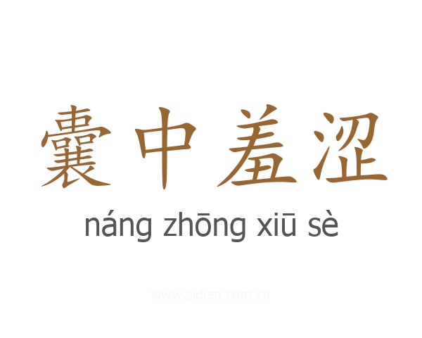 囊中羞涩