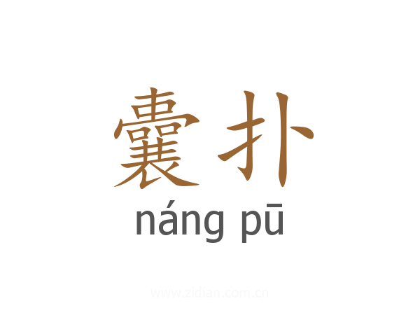 囊扑