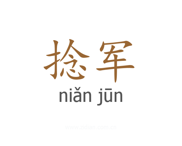 捻军