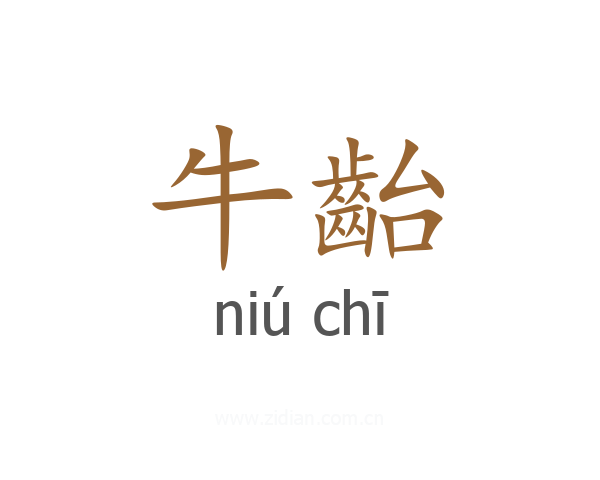 牛齝